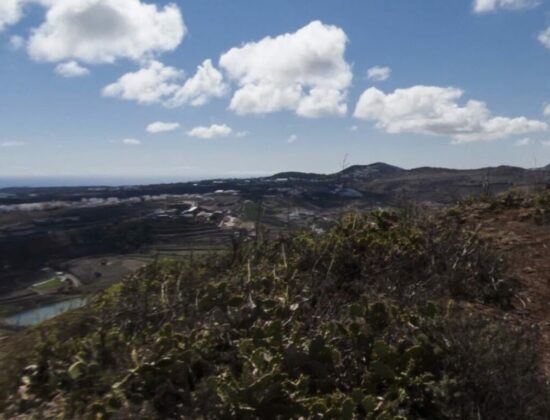 Outdoor sex in Cruz de Montaña