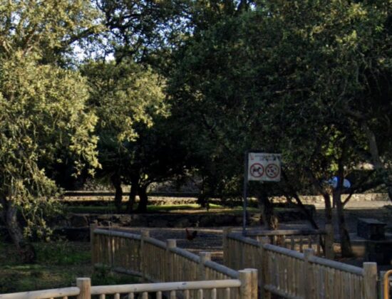 Outdoor sex in José Hernández Park