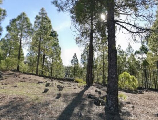 Outdoor sex in La Culata, Tejeda, Gran Canaria