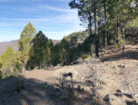 Outdoor sex in La Culata, Tejeda, Gran Canaria