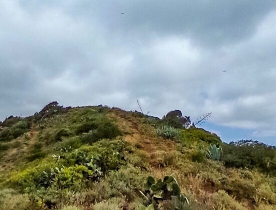 Outdoor sex on the top of Monte Luz, Las Palmas, Gran Canaria