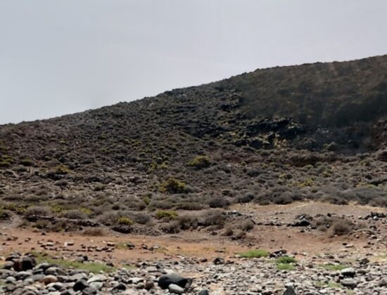 Outdoor sex in Playa de El Juncal